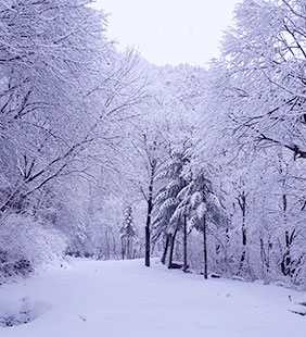 방태산 겨울 풍경 사진