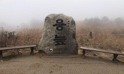대암산용늪 대표 이미지