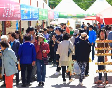 황태축제 축제 두번째 서브 이미지