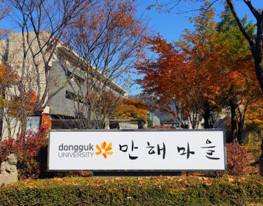 만해축전 축제 세번째 서브 이미지