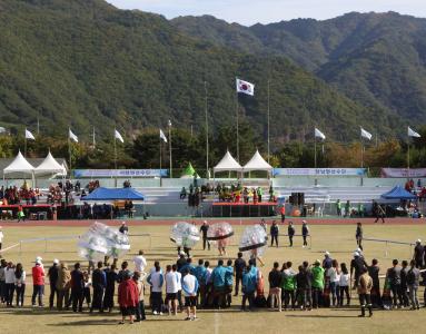 합강문화제 축제 세번째 서브 이미지