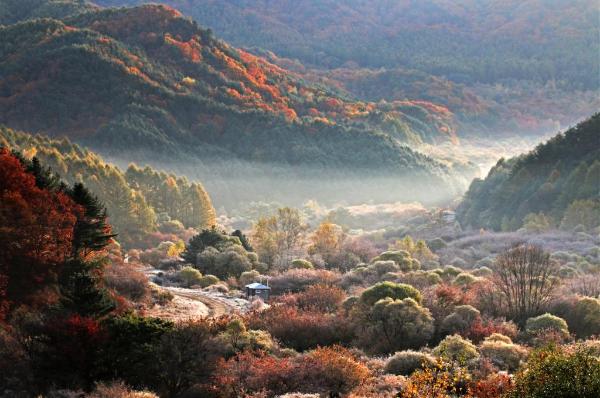 비밀의정원 이미지 3