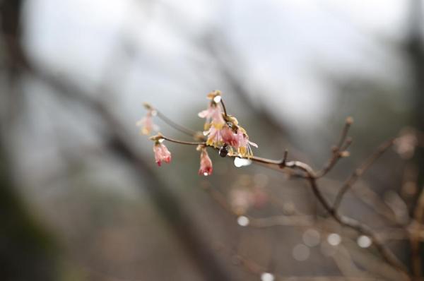 설악산 이미지 6