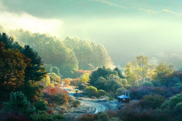 비밀의정원 이미지 2