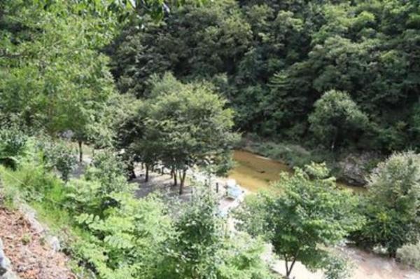 와라캠핑장 이미지 2