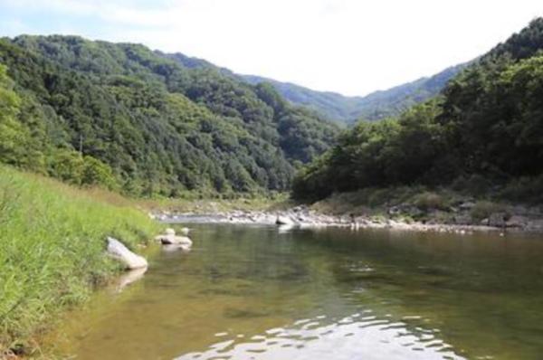 미산분교 캠핑장 이미지 2
