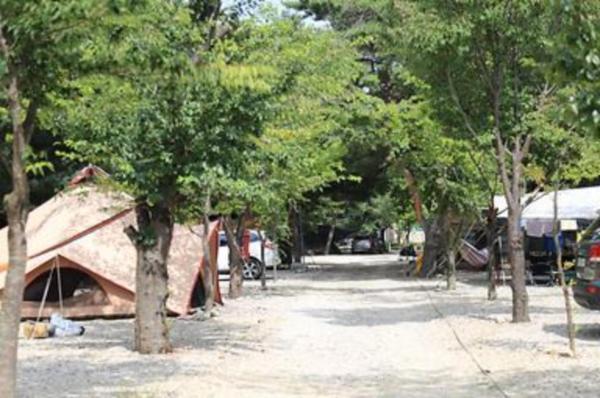 구만동 오토캠핑장 이미지 3