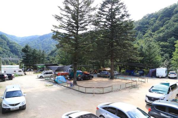 미산분교 캠핑장 이미지 1