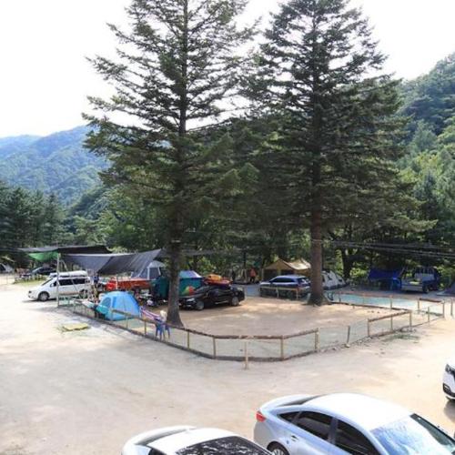 미산분교 캠핑장 대표 이미지