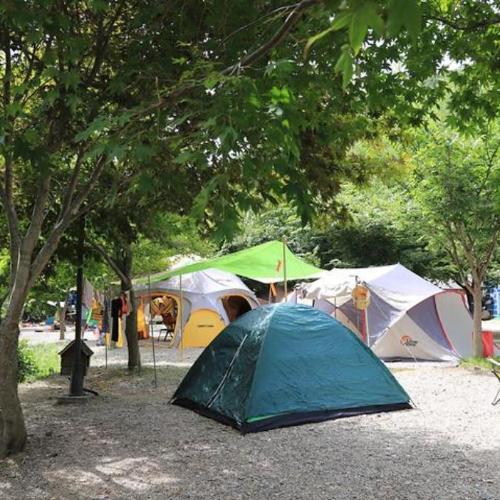 자작나무펜션 캠핑장 대표 이미지
