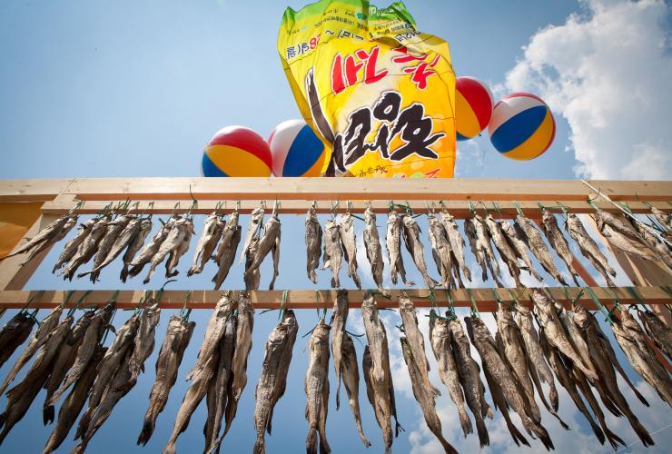 황태축제 축제 대표 이미지