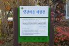 월학리냇강마을 이미지 6